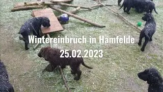 Wintereinbruch in Hamfelde