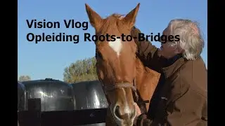 Vision Vlog opleiding