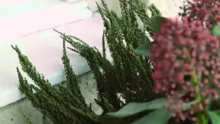 NX1 - Test