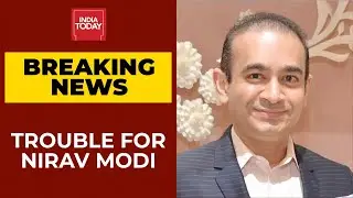 Nirav Modi's Brother-In-Law Maiank Mehta To Depose Against Him | Breaking News