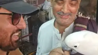 Jan Rambo is live | empress market | janrambo | sahibarambo | birds 