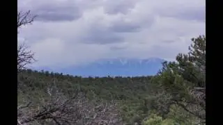 View from Ward Mountain