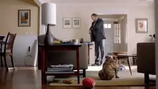VW Jetta Very Funny Dog Commercial Bad Dog