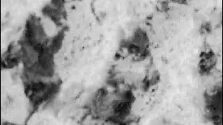 MARS PERSEVERANCE, SOL 1003, FOSSILS
