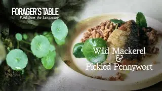 Wild Mackerel & Pickled Pennywort Recipe | Forager's Table Episode #1
