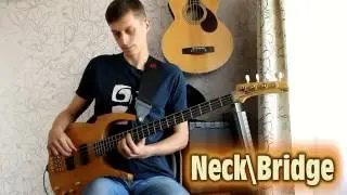 Test bass guitar Parker pb61 (Alex KinBass). ROCK!