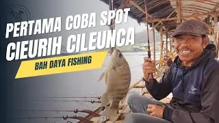 SPOT CIEURIH SITU CILEUNCA NGGAK KALAH SAMA SPOT JATI LUHUR!!!