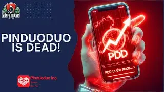 INSANE 40% CRASH! What's NEXT for PDD Stock?
