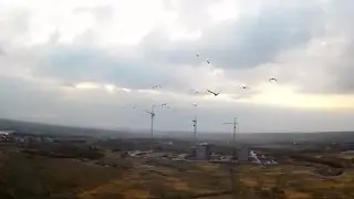 RC plane Bixler 2 are flying with seagulls. Самодельный самолет летает с чайками