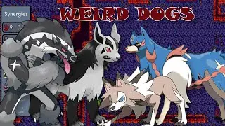 WHO Let The Dogs OUT?! They Go WILD! - Pokemon Auto Chess 6.2 Gameplay