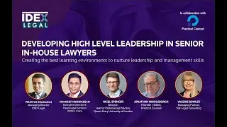 Developing High Level Leadership In Senior In-house Lawyers