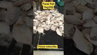 vanagaram fish price today#