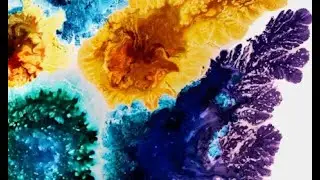 How the Brain Builds Cognitive Maps to Navigate Space and Memory