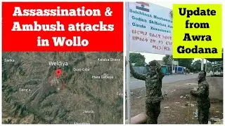 Assassination & Ambush attacks by Fano in Wollo | Update from Awra Godana |Tigray security situation