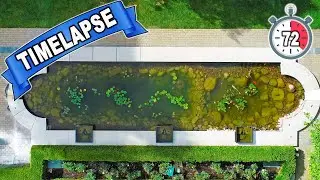 Formal Mansion Pond Timelapse!