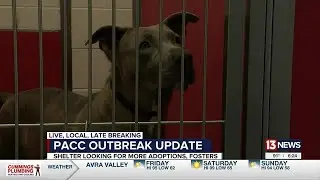 Pima Animal Care Center tackles multiple diseases in shelter