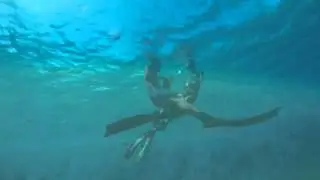 Morning Dives in Hawaii