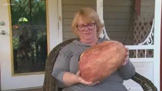 Record-breaking 14 lb sweet potato unearthed in Blount County