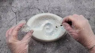 #2049 You Won't Believe How Beautiful This Resin Ammonite Turns Out!