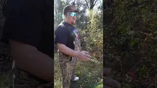 Мудрые слова южного дедушки