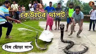 খ্যাপা পদ্ম কেউটে বিষ ছুঁড়ে এভাবেই দাপট দেখায় | Dangerous Cobra Rescue | Snake Attack | Reptopedia