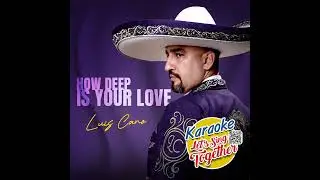Luis Cano - How Deep Is Your Love - Karaoke