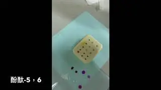 酚酞滴測