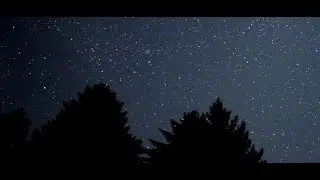 No Ads: 7 Hours of Calm Nature Music for Sleep & Study 🌙🎶
