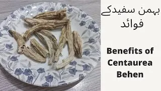 Benefits of Centaurea behen بہمن سفیدکے فوائد #herbs #merajDawakhana #urdu #medicalplants