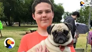 Boy With Autism Gets PUG Birthday Surprise | The Dodo