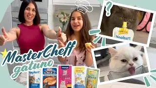Mis GATITOS PUNT&Uacute;AN SNACKS🐱🍴&iexcl;Mastercheff gatuno!⭐️⭐️⭐️