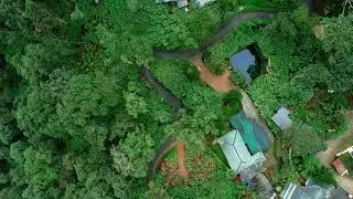 Bracknell Forest Resort Munnar | 3-Star Resort in Cardamom Plantation