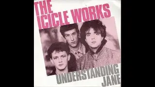 The Icicle Works .- Understanding Jane. (1987. Vinilo)