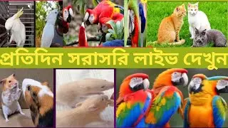 Milon & pets is live!সরাসরি পশুপাখি নিয়ে আলোচনা শুনুন। 