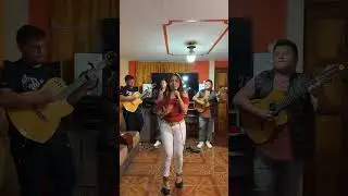 Carnaval en vivo 