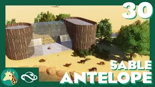 Sable Antelope Habitat! | Planet Zoo | Suggestion Sunday #30