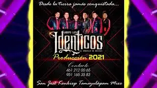 Grupo los Idénticos El Orgullo de Oaxaca DISCO COMPLETO  INF 9514168241
