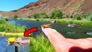 HAMMERING Trout on Hoppers!!  MONSTER Brown RIPS Me Waaayyy Down River on AMAZING Desert Stream!