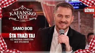 SAMO BOB - STA TRAZI TAJ | UZIVO | (ORK. ACA STOJNEV) | 2023 | KAFANSKO VECE