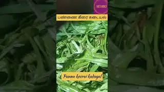 Panna Keerai Kadayal