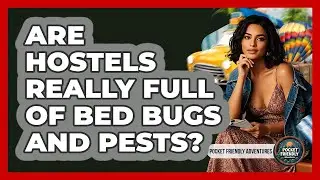 Are Hostels Really Full Of Bed Bugs And Pests? - Pocket Friendly Adventures