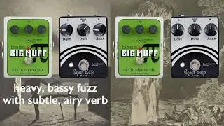 EQD Ghost Echo v1 & EHX Bass Big Muff | Pedal Friends 1