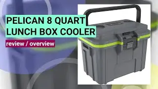Pelican 8 Quart Personal Lunch Box Cooler Review: Is It Worth It?