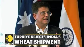 Turkiye says no to 60,000-tonnes of wheat shipment from India | International News | WION