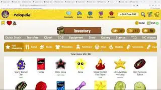 The Quest For Neopoints! Neopets Daily Adventures 3/11