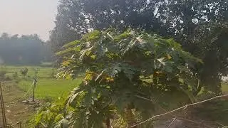 सब भाई बहनों को राधे राधे जिंदगी क्या है सुनिए 