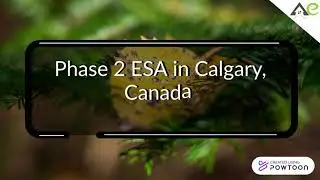 Phase 2 ESA Calgary