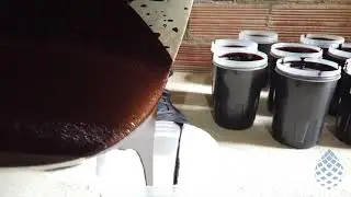 Paste Production