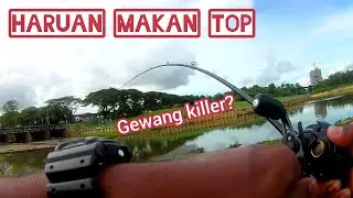 Casting Haruan | Ikan Gabus | Soft Frog OZMY