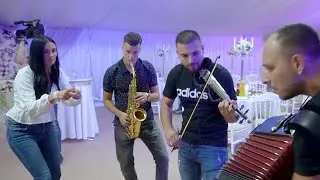 ZAGRMELO KOLO U VOJVODINI - ORKESTAR ACE DIMITRIJEVICA